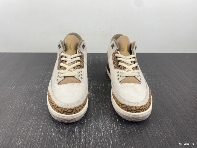 Reps TB Jordan 3 CT8532-102 Air Palomino 0724